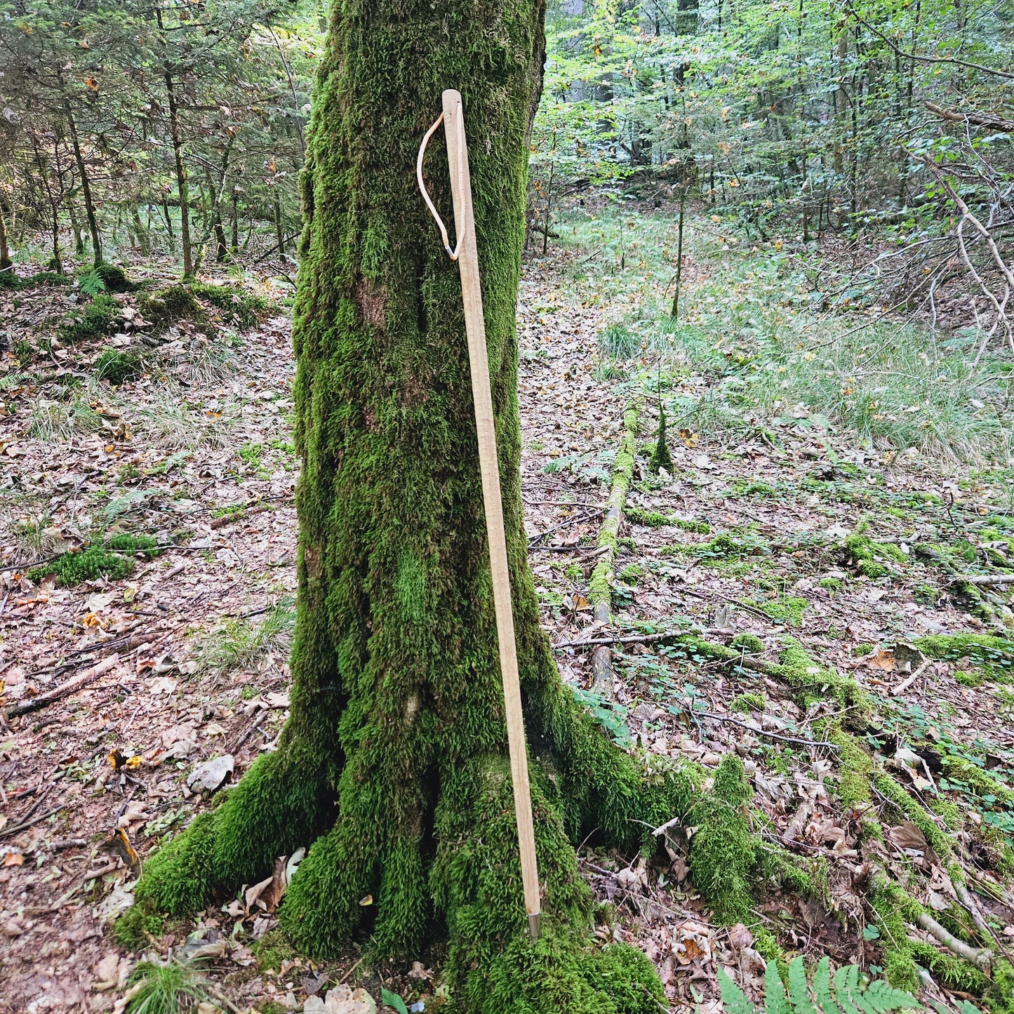 Wanderstock Eiche Sägerauh