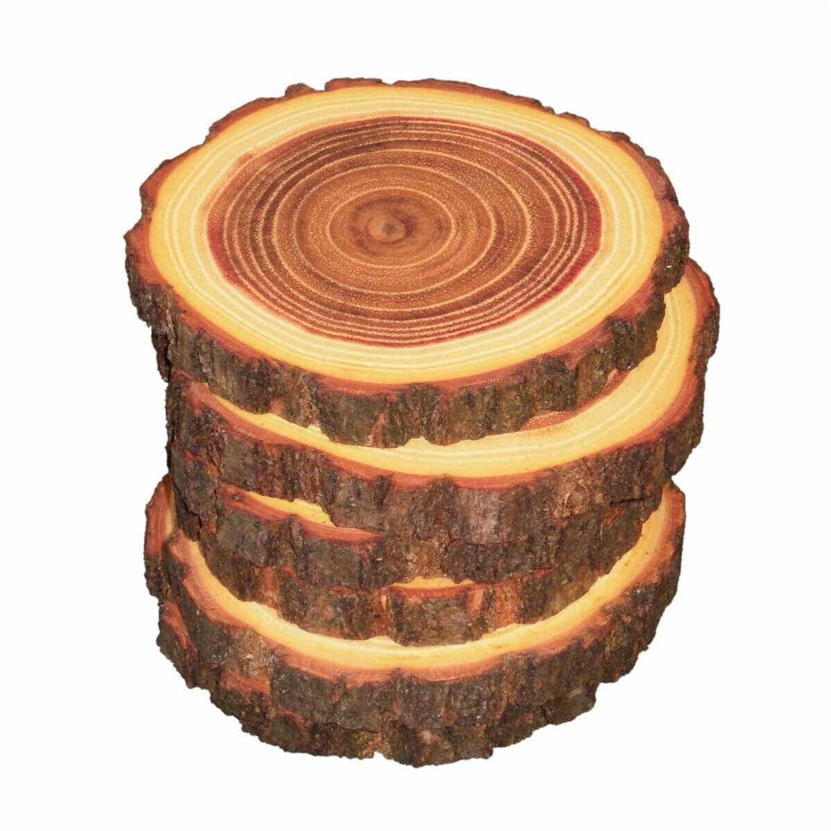 Holzscheibe mit Rinde Untersetzer