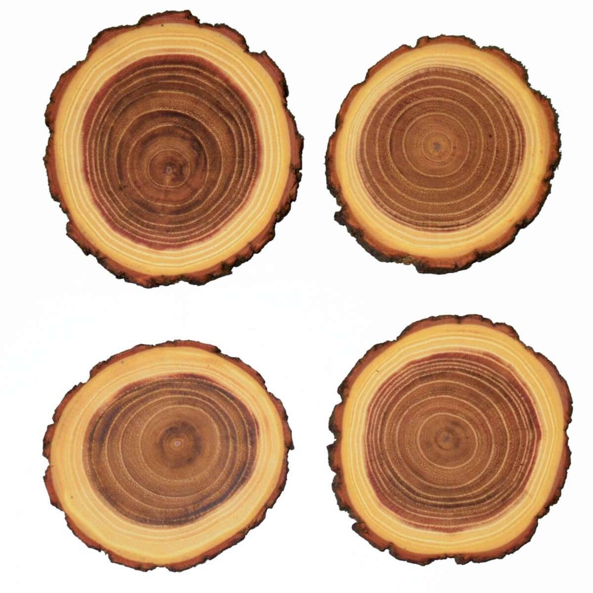 Holzscheibe mit Rinde Untersetzer