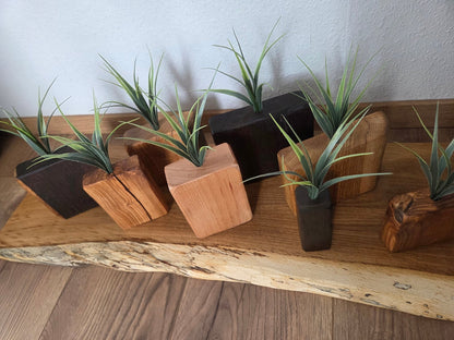 Handgefertigte Mini - Holzvasen mit Trockenblumen – Naturdeko im Set aus verschiedenen Hölzern - Woodequipment24