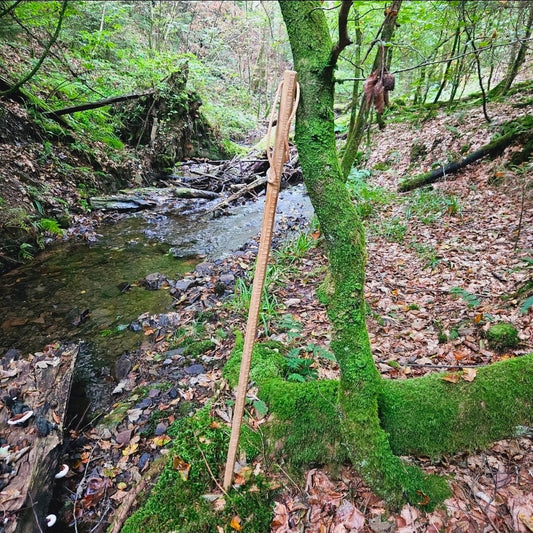 Rustikaler Eichen - Wanderstock - Sägerauh Finish - Woodequipment24